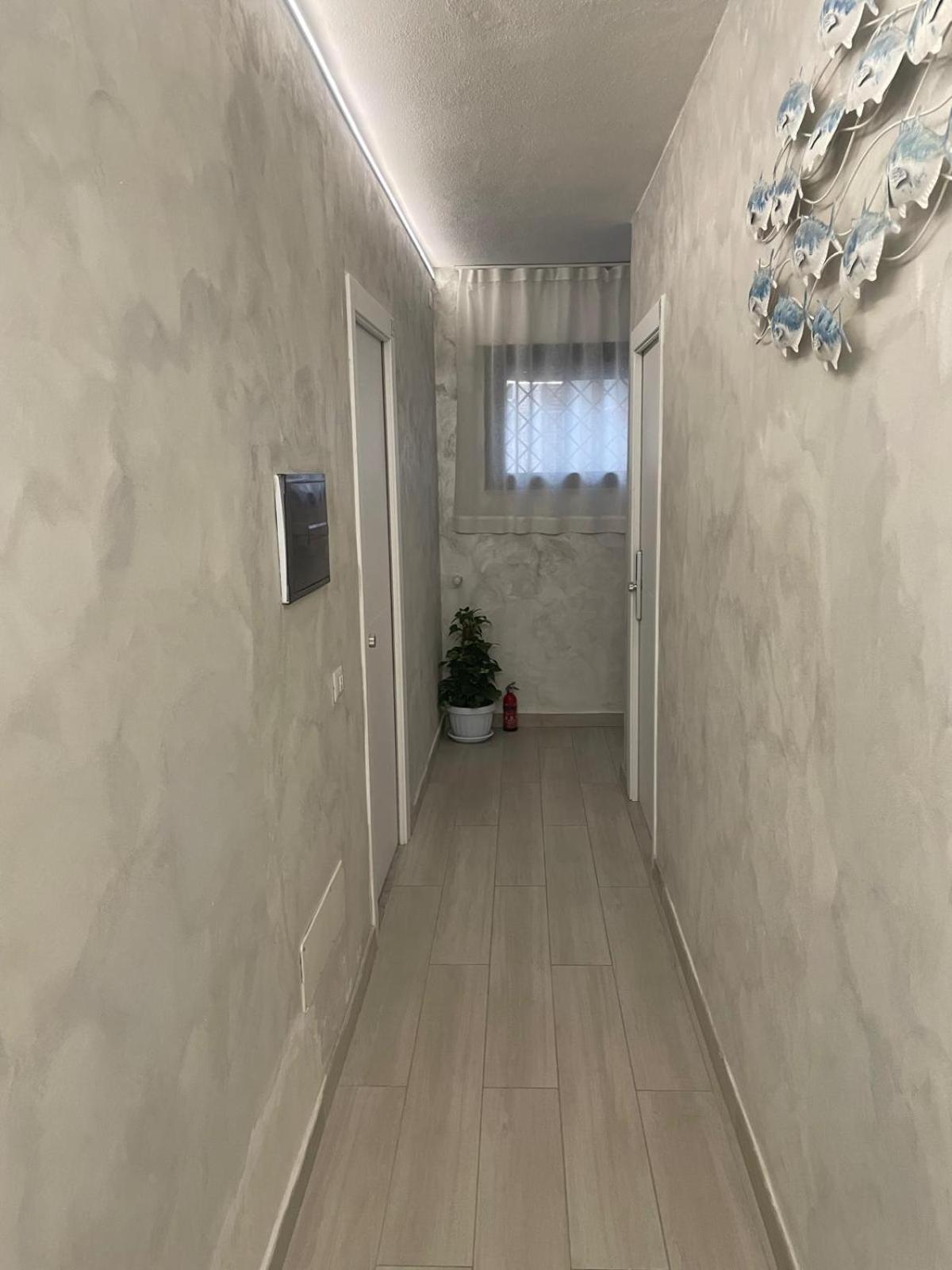 奧爾比亞Camelia'S House公寓 外观 照片
